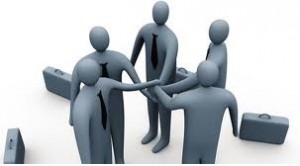 Asesoría Profesional Integral